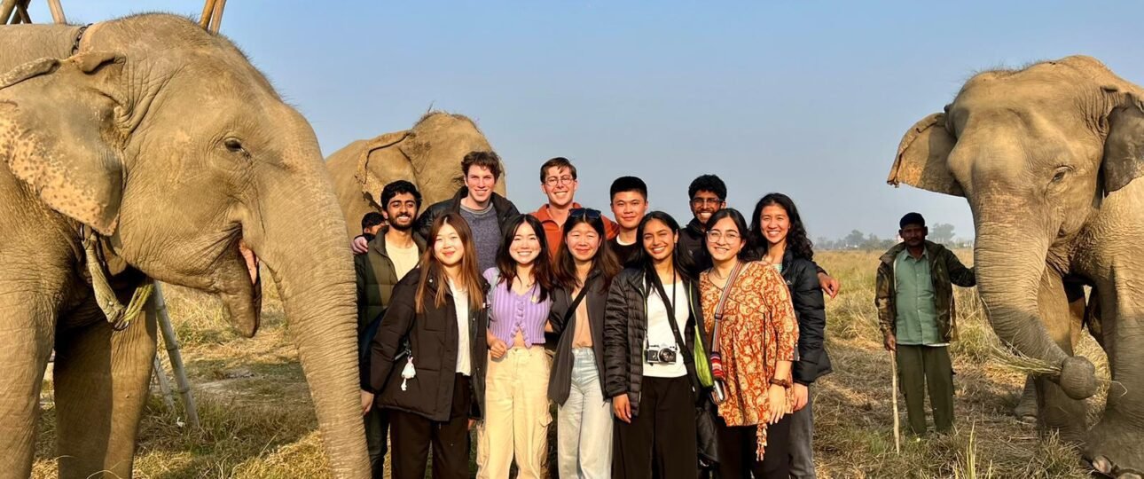 Nepal tour and trekking